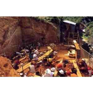 Atapuerca 1: trabajos en la Gran Dolina